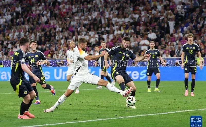 门徒注册平台百度学术揭秘山东速写足球运动员身份：揭秘他们的身世背景和职业生涯