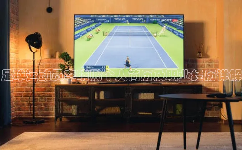 门徒平台登录地址百度数据开放平台足球运动员李晓鹏个人简历及职业经历详解