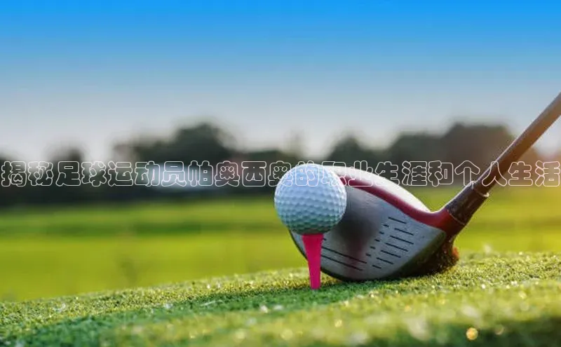 门徒平台登录地址百度数据开放平台揭秘足球运动员帕奥西奥的职业生涯和个人生活