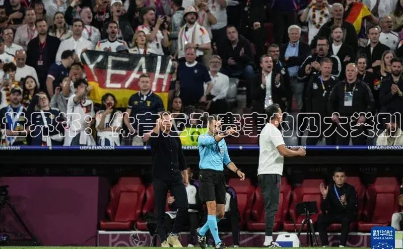 世界杯：体育运动赛事的四大类别