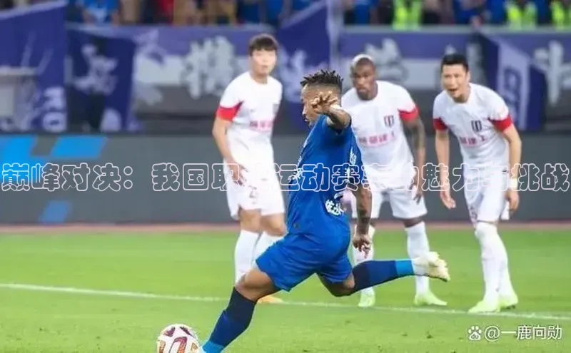 巅峰对决：我国职业运动赛事的魅力与挑战