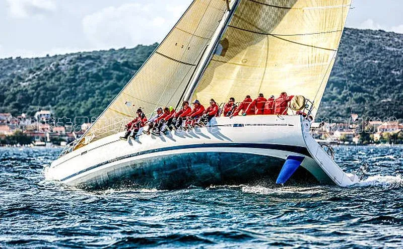 中国搏击界巅峰对决：搏击类运动赛事的魅力与挑战