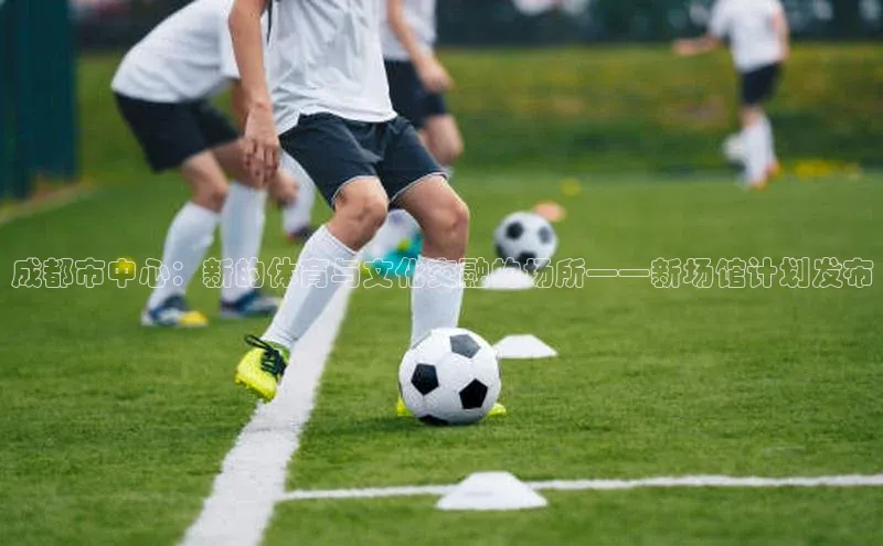 成都市中心：新的体育与文化交融的场所——新场馆计划发布