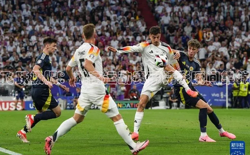 飞跃极限：跳高运动赛事精彩瞬间集锦