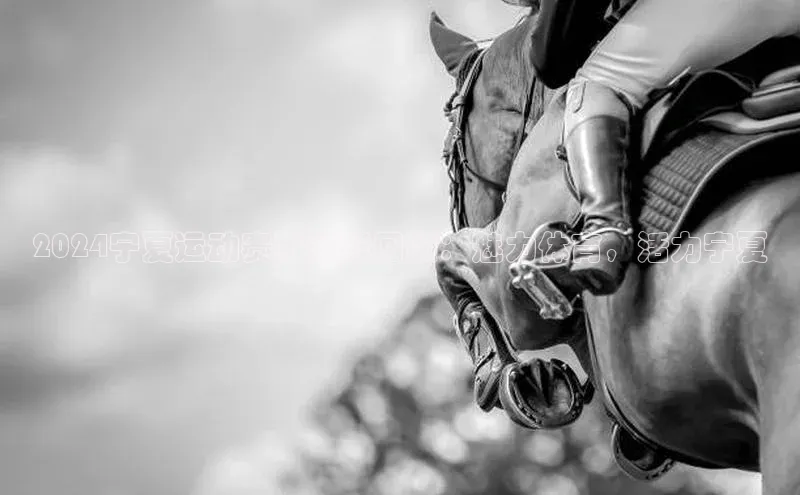 2024宁夏运动赛事精彩回顾：魅力体育，活力宁夏