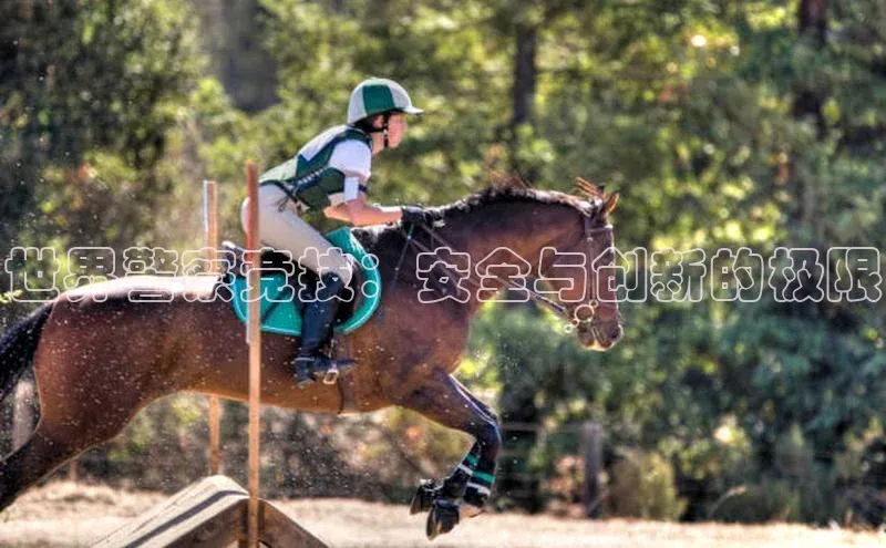 世界警察竞技：安全与创新的极限