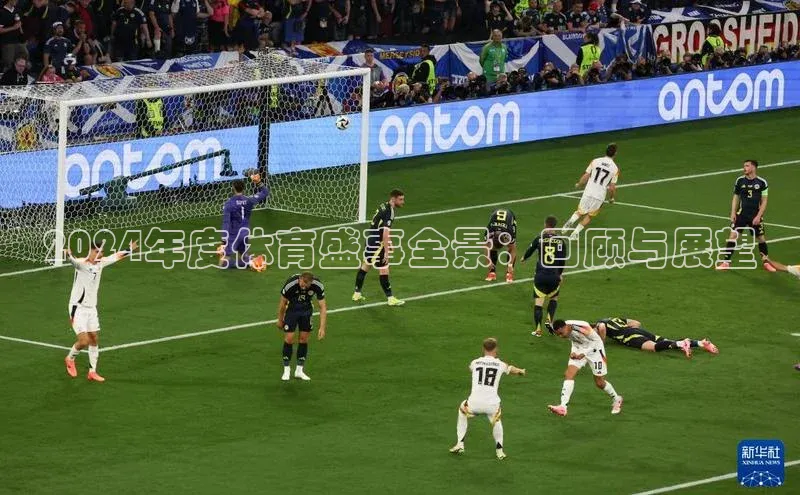 2024年度体育盛事全景：回顾与展望