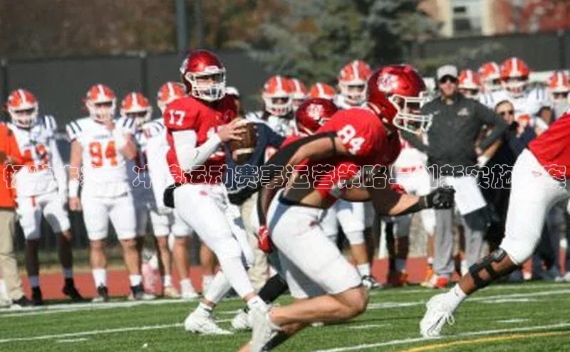 畅游未来：冲浪运动赛事运营策略与创新实施方案