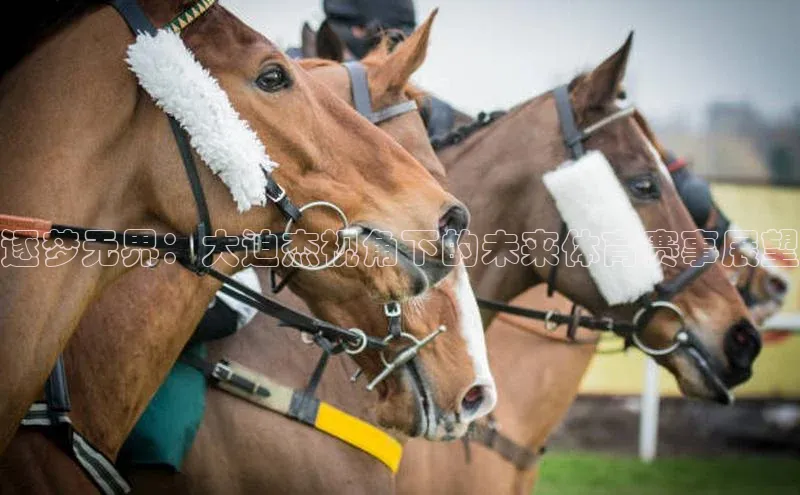 逐梦无界：大迫杰视角下的未来体育赛事展望