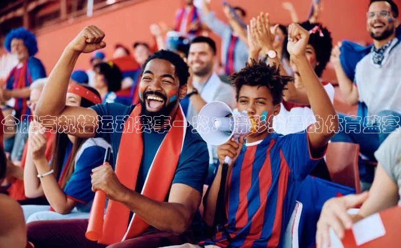 合肥高规格运动赛事一览：精彩纷呈的体育盛宴