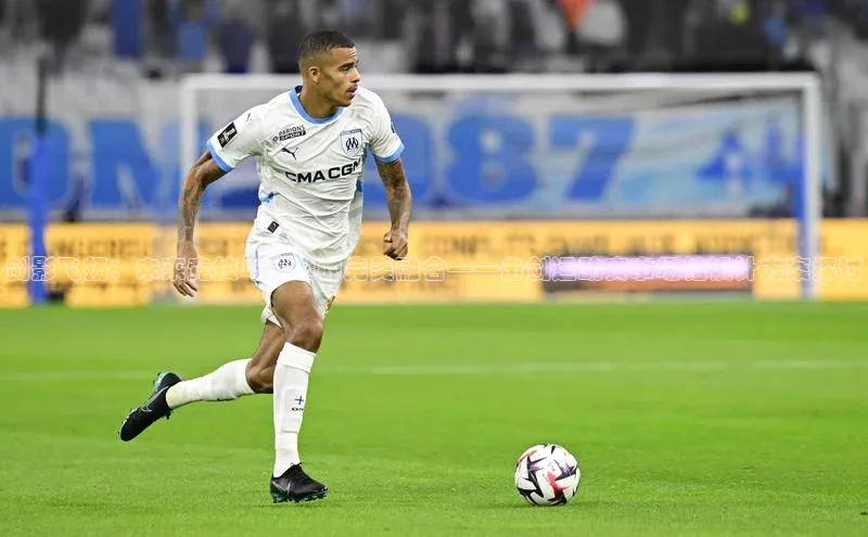 剑影飞扬：未来竞技与美学的完美融合——击剑运动赛事场馆设计方案探讨