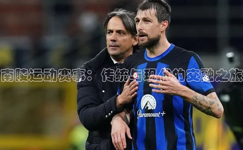 南陵运动赛事：传统与现代的交融之旅